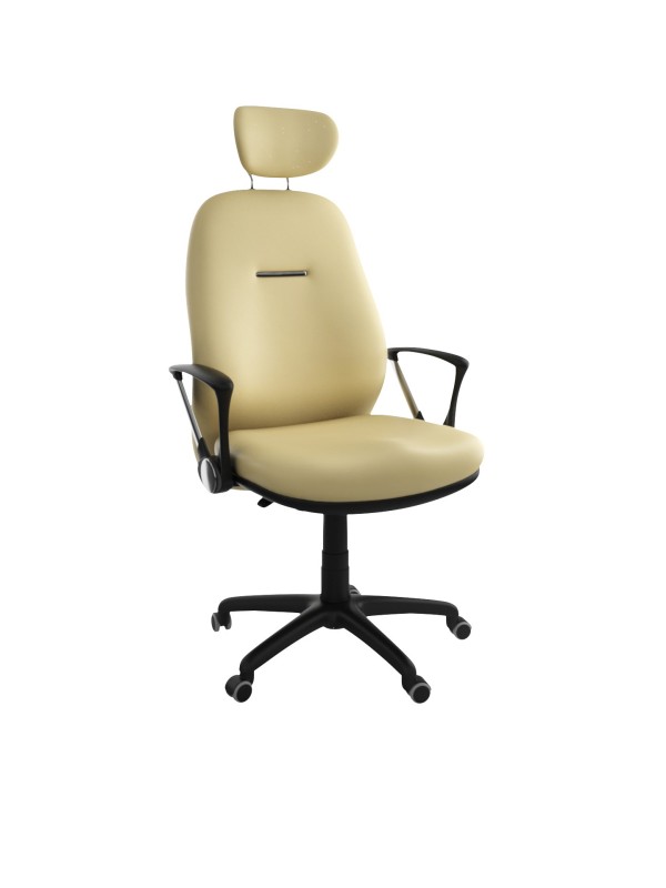 Paris GM - fauteuils - Interrieur.CI