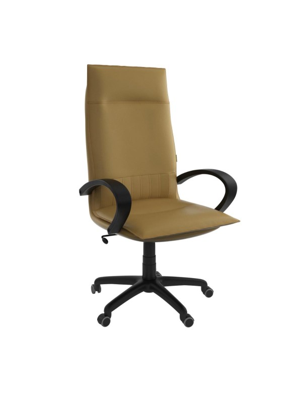Manager GM - fauteuils - Interrieur.CI