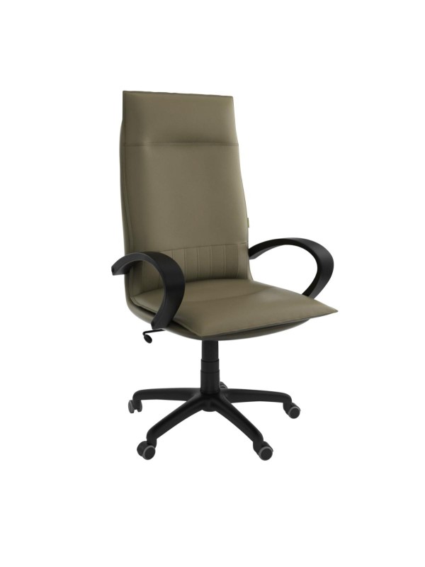 Manager GM - fauteuils - Interrieur.CI
