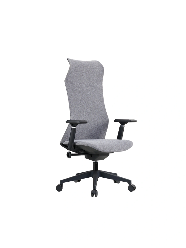 Fauteuil Aeris