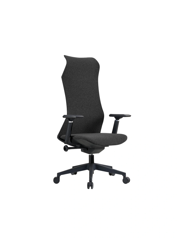 Fauteuil Aeris