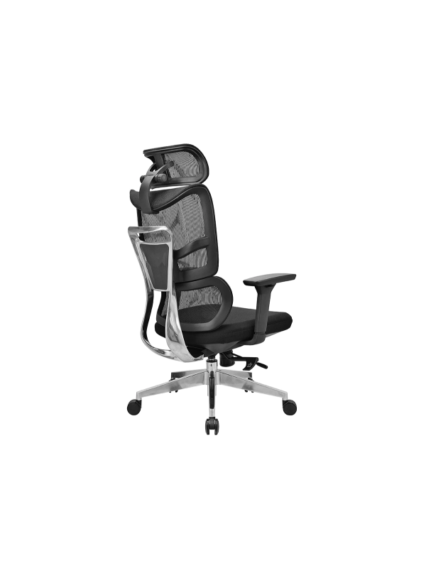 Fauteuil ErgoMax