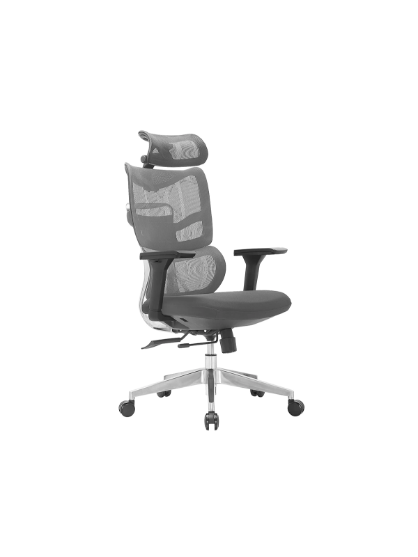 Fauteuil ErgoMax