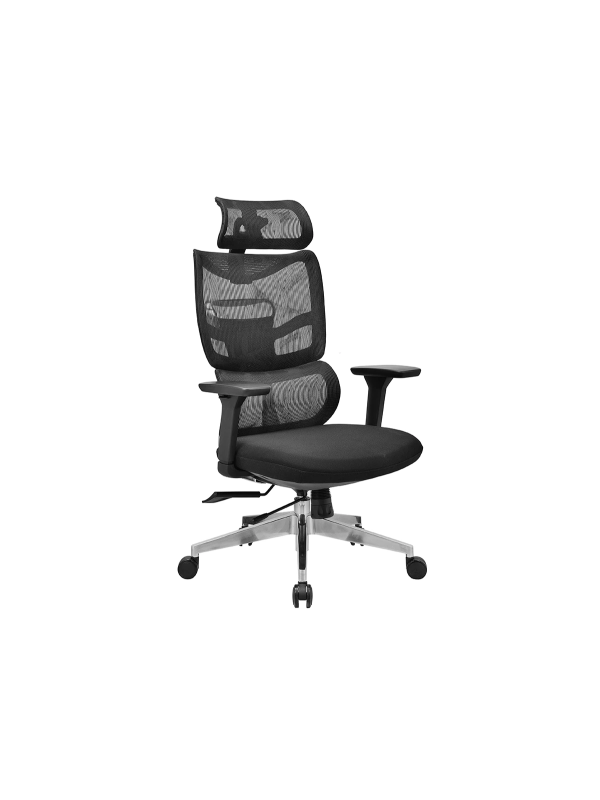 Fauteuil ErgoMax