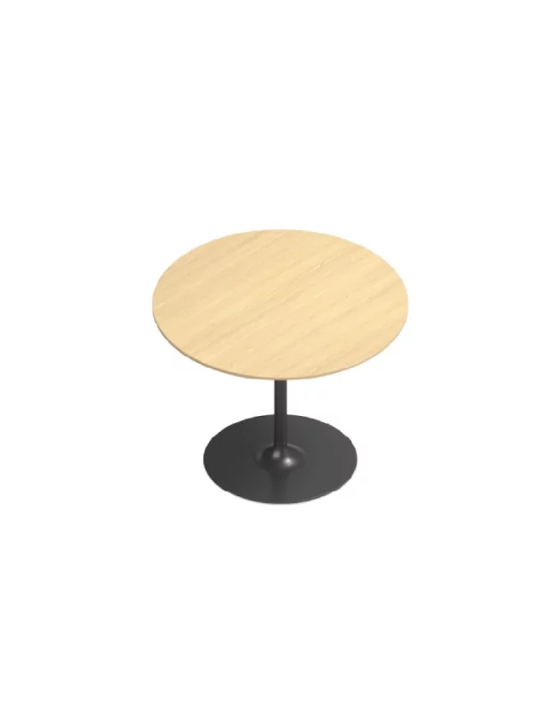 Table Ronde SUN