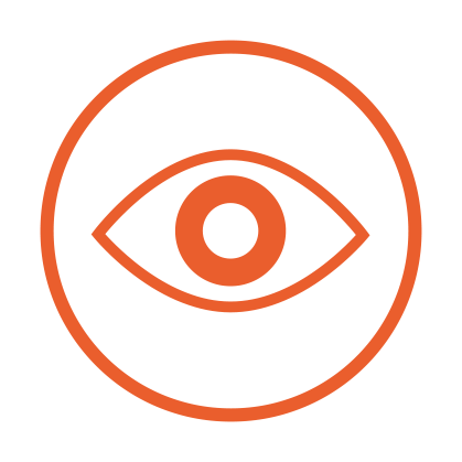 vision.png